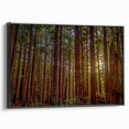 Framed wall art showcasing a botanical design of redwood trees, featuring vibrant colors and intricate details, with a sleek black frame adding elegance to any decor.