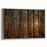 Framed wall art featuring a vibrant botanical design of redwood trees, showcasing intricate details and rich colors, with a sleek silver frame enhancing its aesthetic appeal. Perfect for nature lovers and home decor enthusiasts.