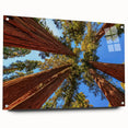Colorful botanical art print featuring intricate redwood tree designs, displayed in a sleek acrylic frame with pin accents, ideal for nature-themed decor.