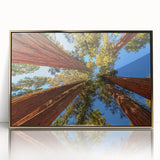 Framed botanical wall art featuring vibrant redwood trees design with gold accents, ideal for enhancing home decor and adding a touch of nature-inspired elegance.