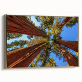 Framed canvas wall art featuring an intricate botanical design of redwood trees, accented with gold detailing, showcasing a side view. Perfect for nature-inspired decor.