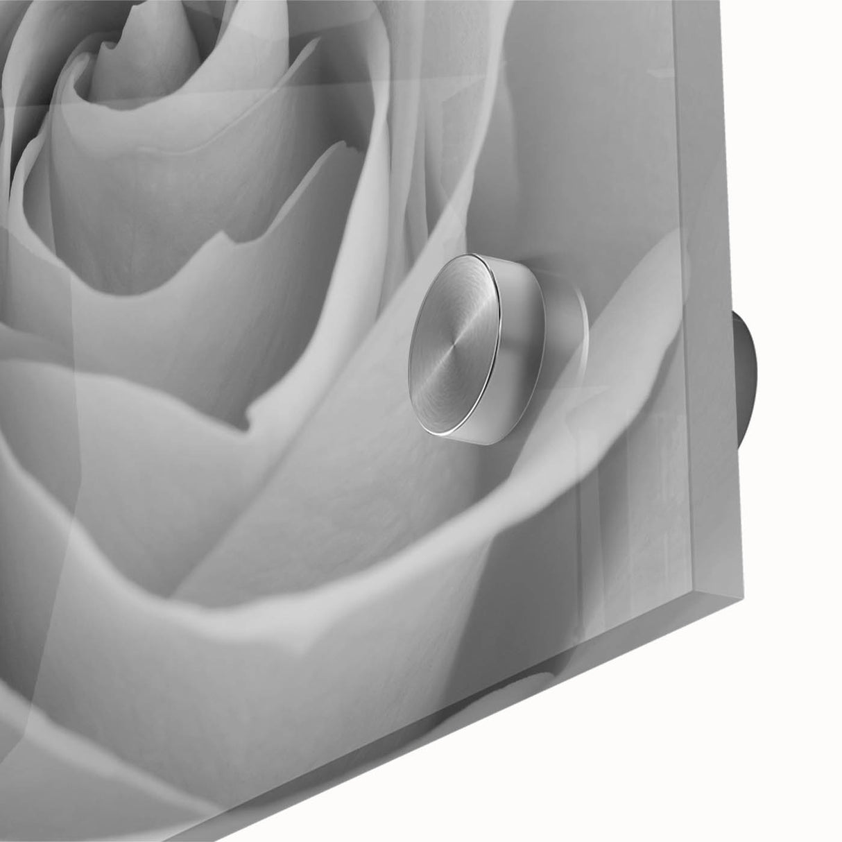 Close-up of a stunning botanical rose wall art design, showcasing vibrant pink and cream roses against a soft green background, perfect for home decor enhancement.