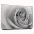 Acrylic glass wall art featuring a botanical rose design, showcasing vibrant colors and intricate details, elegantly displayed with pins for a modern touch. Ideal for enhancing home decor with a floral theme.