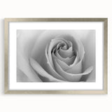 Botanical rose wall art print featuring delicate floral illustrations in soft pink and green hues, framed with a sleek silver mat for an elegant touch in home decor.