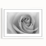 Botanical wall art print featuring an elegant rose design in a white frame with a mat, showcasing delicate floral details ideal for home decor enhancement.
