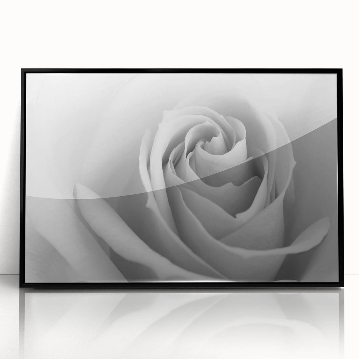 Framed acrylic wall art featuring a botanical rose design in black, showcasing intricate floral details and a modern aesthetic, perfect for home decor.