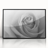 Framed acrylic wall art featuring a botanical rose design in black, showcasing intricate floral details and a modern aesthetic, perfect for home decor.