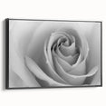 Framed canvas wall art showcasing a botanical rose design with intricate details and a black frame, perfect for elegant home decor and floral enthusiasts.