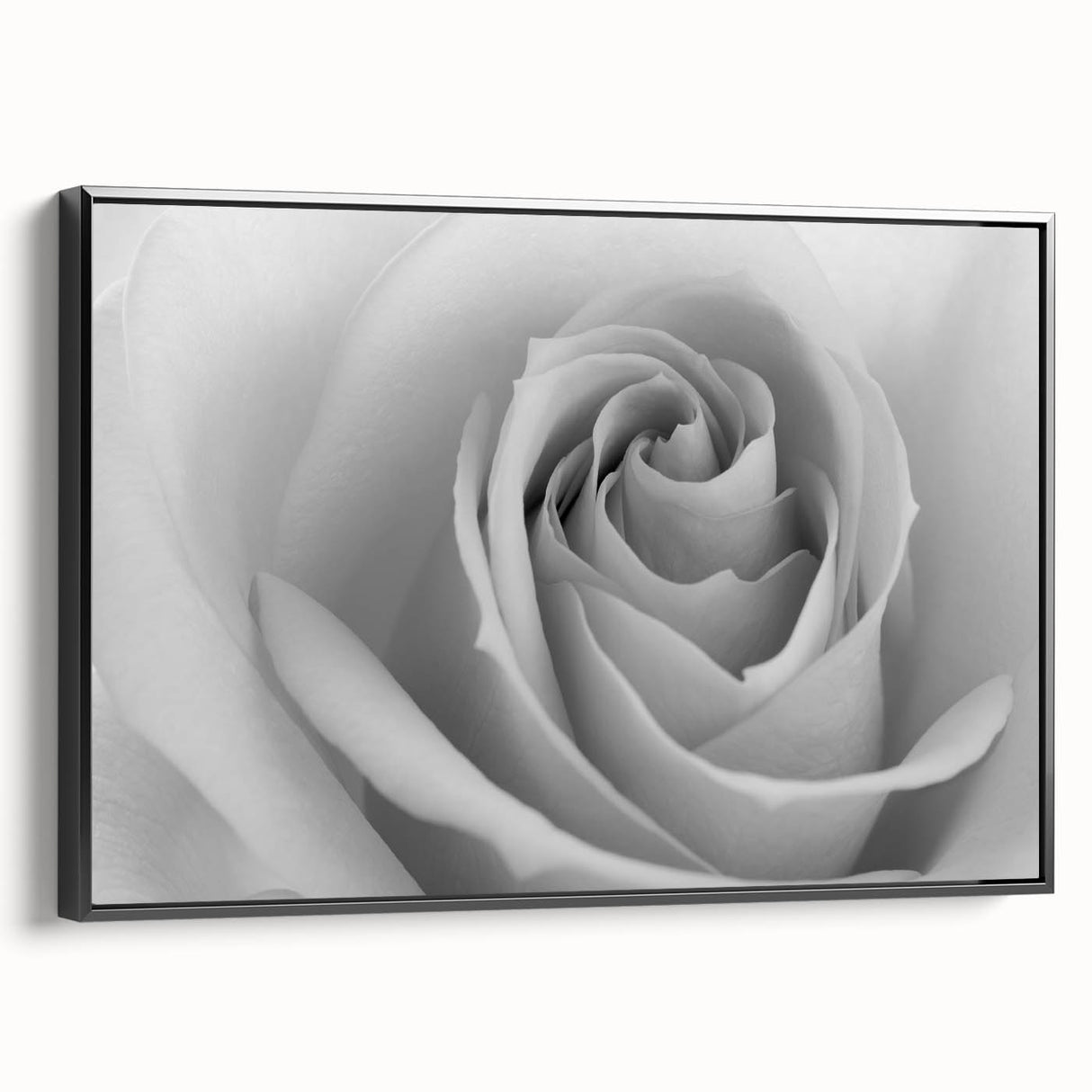 Framed canvas wall art showcasing a botanical rose design with intricate details and a black frame, perfect for elegant home decor and floral enthusiasts.