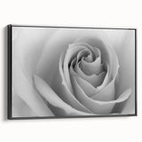 Framed canvas wall art showcasing a botanical rose design with intricate details and a black frame, perfect for elegant home decor and floral enthusiasts.