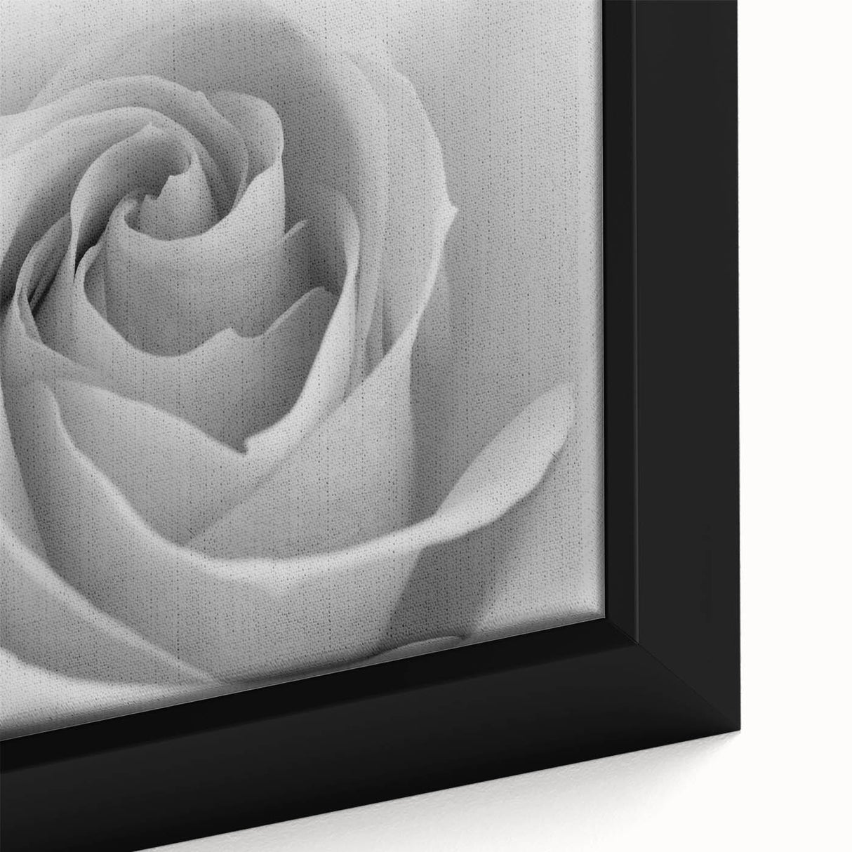 Close-up view of a framed botanical rose design wall art piece, showcasing vibrant pink and white roses with lush green leaves, perfect for home decor.