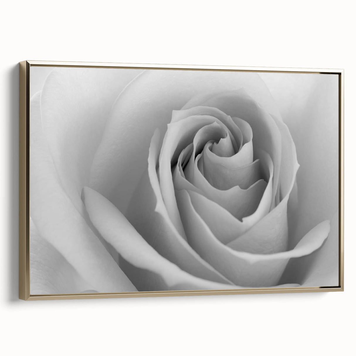 Framed botanical wall art showcasing a detailed rose design in soft pink and green hues, elegantly displayed with a gold frame, perfect for home decor.