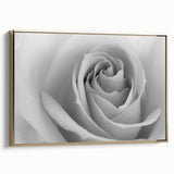 Framed botanical wall art showcasing a detailed rose design in soft pink and green hues, elegantly displayed with a gold frame, perfect for home decor.