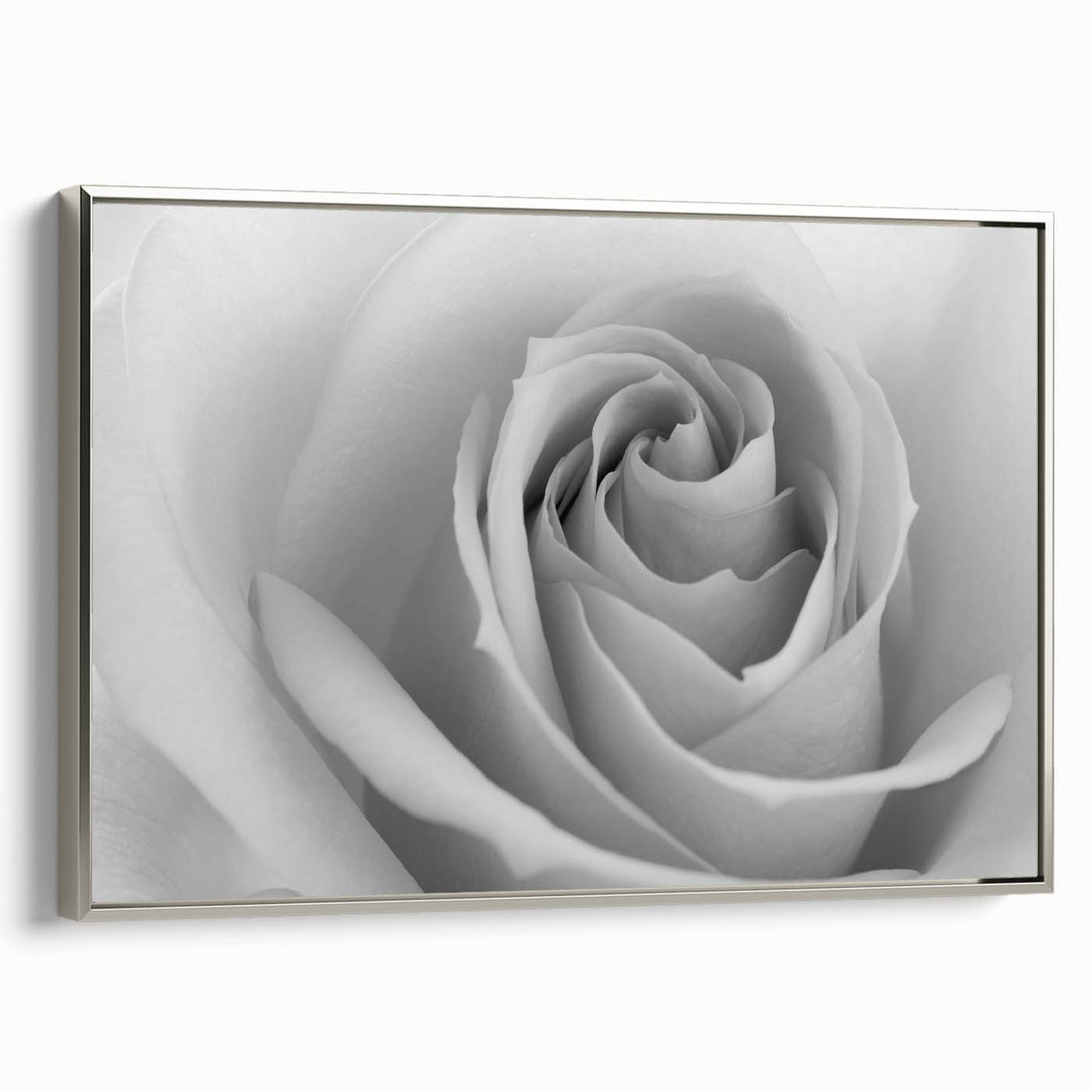 Framed botanical wall art featuring a delicate rose design on a silver background, showcasing intricate details of the flower and elegant framing, perfect for home decor.