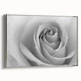 Framed botanical wall art featuring a delicate rose design on a silver background, showcasing intricate details of the flower and elegant framing, perfect for home decor.