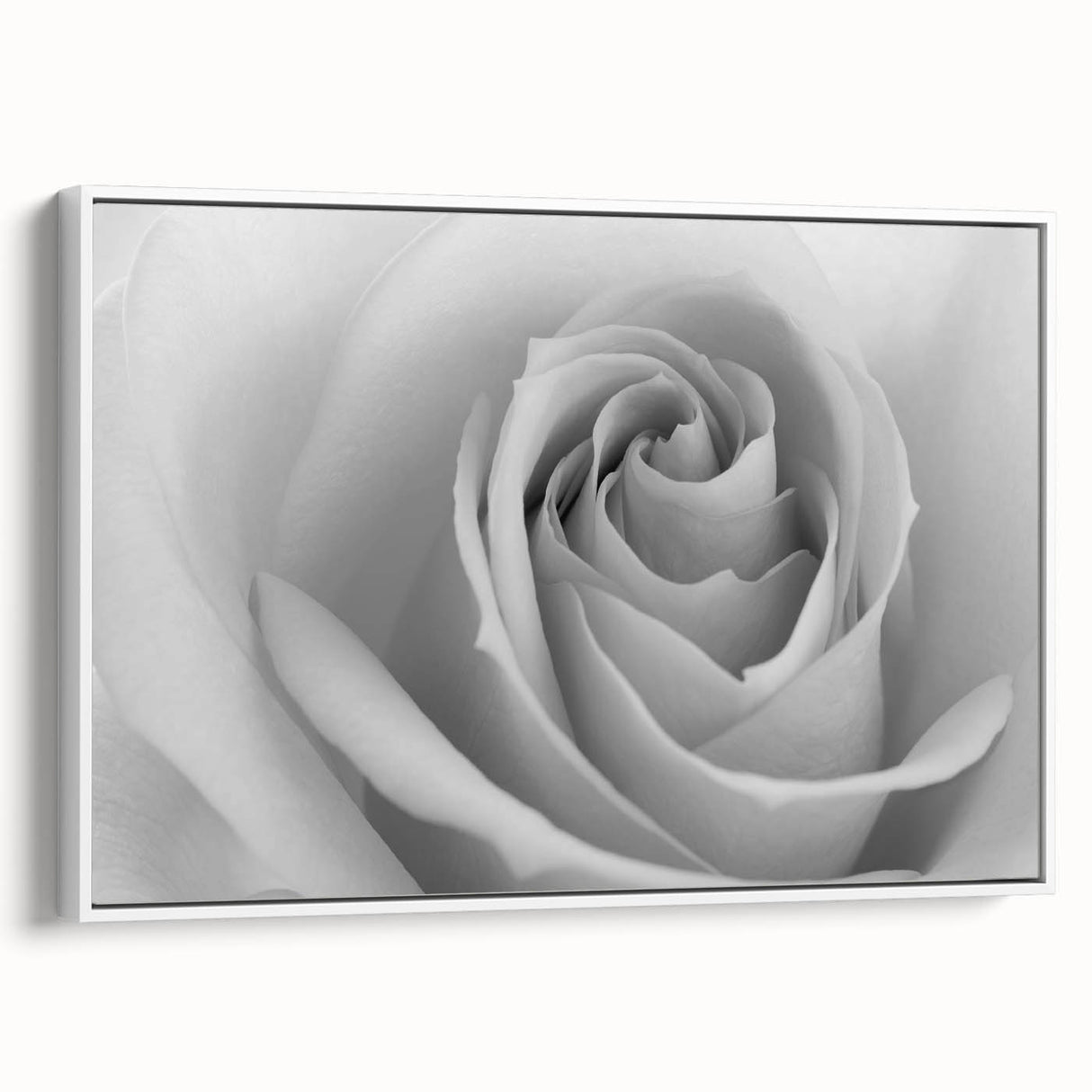 Framed canvas wall art featuring a botanical rose design, showcasing vibrant pink and green hues against a white background, perfect for home decor enhancement.