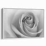 Framed canvas wall art featuring a botanical rose design, showcasing vibrant pink and green hues against a white background, perfect for home decor enhancement.