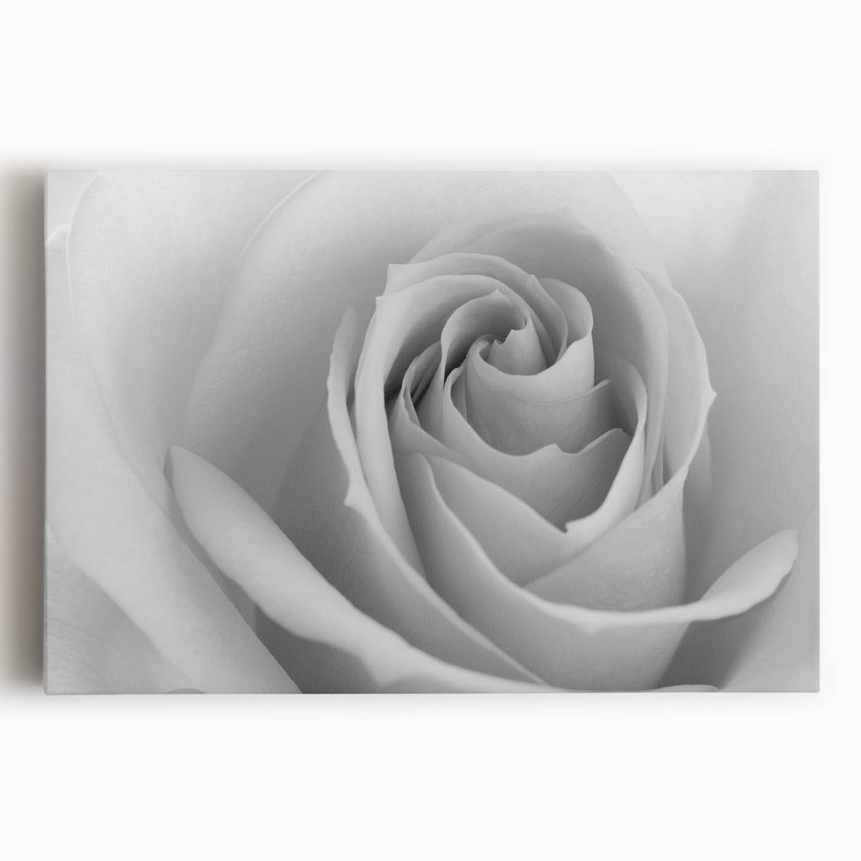 Beautiful botanical wall art featuring a delicate rose design on stretched canvas, showcasing soft pink and green hues, perfect for home decor or nature enthusiasts.
