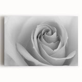 Beautiful botanical wall art featuring a delicate rose design on stretched canvas, showcasing soft pink and green hues, perfect for home decor or nature enthusiasts.