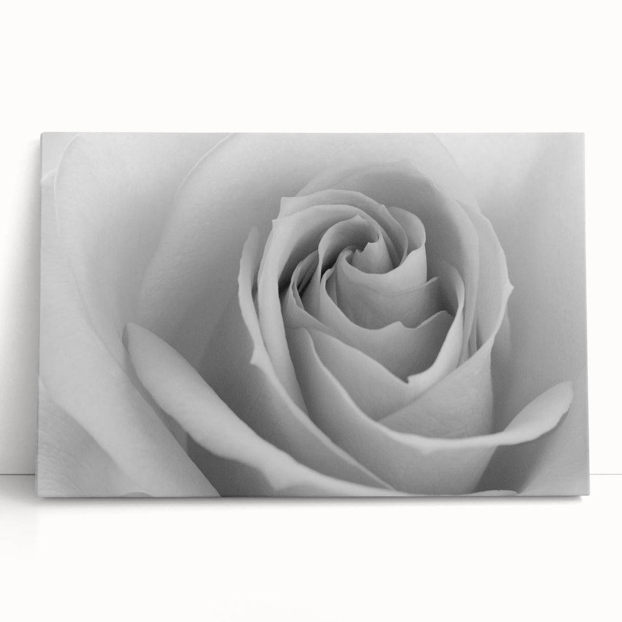 Stretched canvas wall art featuring a delicate botanical rose design, showcasing soft pink and green hues, perfect for enhancing home decor with a touch of nature-inspired elegance.