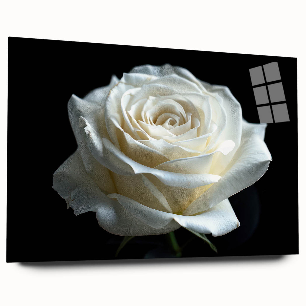 Acrylic glass wall art featuring a botanical rose design in vibrant colors, showcasing intricate floral details and a modern side view, perfect for home decor.