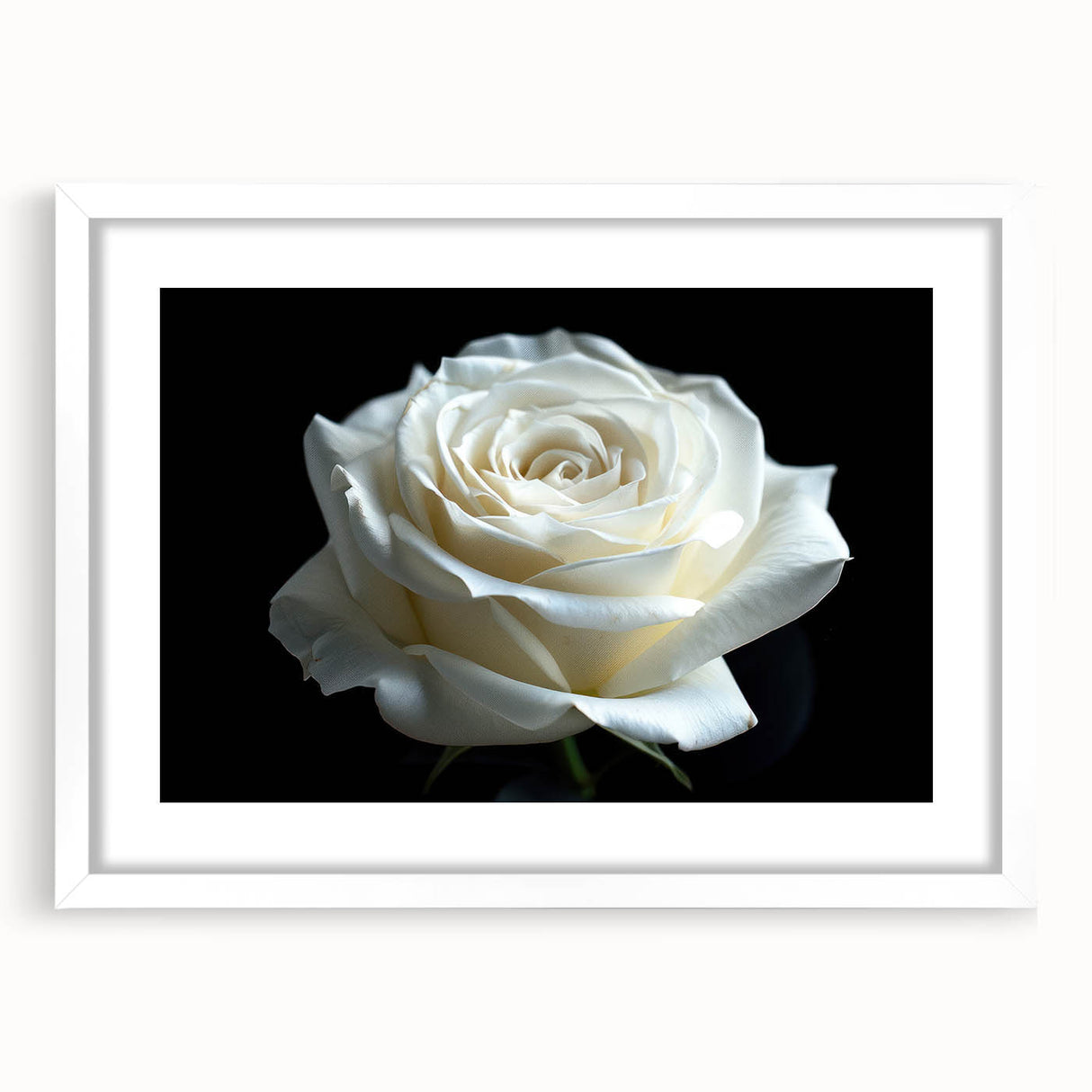 Botanical rose wall art collection framed with a white mat, showcasing intricate floral designs and vibrant colors, perfect for home decor and aesthetic enhancement.