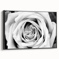 Framed wall art featuring a botanical rose design on black canvas, showcasing vibrant floral details and a sleek side view, perfect for home decor.