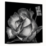 Elegant botanical rose wall art in acrylic glass, showcasing vibrant pink and green hues, displayed in a modern side view without pins, perfect for home decor.
