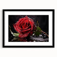 Botanical rose wall art design framed in black with a mat, showcasing delicate floral details and elegant aesthetics, perfect for home decor or gifting.