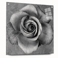 Botanical rose wall art design displayed in a stylish acrylic frame, showcasing vibrant colors and intricate floral details, ideal for home decor.