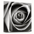 Acrylic wall art piece showcasing a botanical rose design, elegantly displayed from a side view with decorative pins, highlighting intricate floral details and vibrant colors, perfect for enhancing home decor.