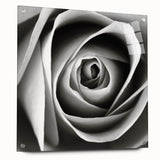 Acrylic wall art piece showcasing a botanical rose design, elegantly displayed from a side view with decorative pins, highlighting intricate floral details and vibrant colors, perfect for enhancing home decor.