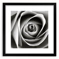 Botanical rose wall art design in a black frame with matting, showcasing delicate floral details and elegant colors, perfect for enhancing home decor.
