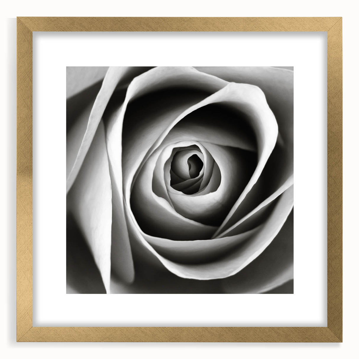 Botanical rose wall art collection framed in gold, featuring intricate floral designs with a mat, perfect for elegant home decor. Ideal for enhancing interior aesthetics.