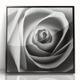 Framed wall art featuring a botanical rose design with vibrant pink and green colors, enclosed in a sleek black frame, perfect for home or office decor.