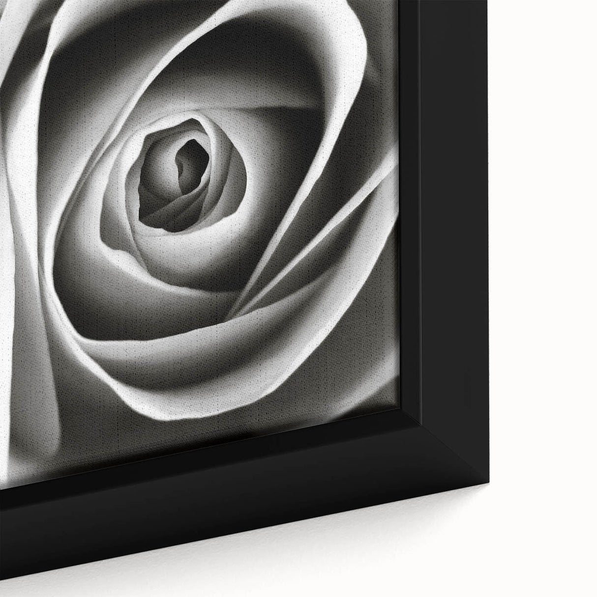 Close-up of a botanical rose design on a framed canvas wall art piece, showcasing intricate floral details in soft pink and green hues, perfect for home decor.