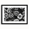 Botanical rose wall art design featuring elegant floral illustrations in soft pink and green hues, framed with a sleek black mat, perfect for home decor.