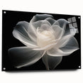 Acrylic wall art collection showcasing a botanical rose design, featuring vivid colors and intricate details, displayed with a side view and pins for mounting. Perfect for home decor enthusiasts seeking floral-themed artwork.
