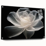 Acrylic wall art collection showcasing a botanical rose design, featuring vivid colors and intricate details, displayed with a side view and pins for mounting. Perfect for home decor enthusiasts seeking floral-themed artwork.