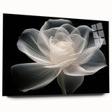 Acrylic glass wall art collection featuring a botanical rose design in vibrant colors, displayed in a modern setting, highlighting its elegant side view without pins. Ideal for home decor enthusiasts seeking floral aesthetics.