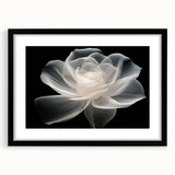 Botanical wall art featuring a delicate rose design in a sleek black frame with a white mat, perfect for enhancing modern home decor and floral-themed interiors.