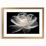 Elegant botanical rose wall art frame with a gold mat, showcasing intricate floral designs, perfect for home decor or gallery displays, enhancing any interior space.