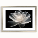 Botanical wall art collection featuring a silver-framed rose design with a white mat, perfect for home decor. Elegant floral aesthetics enhance any room.