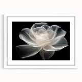 Botanical wall art featuring a delicate rose design in a white frame with mat, ideal for home decor, showcasing elegance and nature-inspired aesthetics.