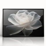Framed wall art showcasing a botanical rose design in a black acrylic frame, highlighting vibrant colors and intricate details, perfect for home decor.