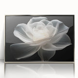 Framed wall art featuring a botanical rose design in vibrant colors, set in a silver-acrylic frame, perfect for home decor and floral enthusiasts.