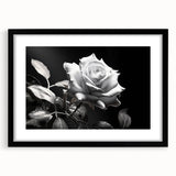 Botanical wall art featuring a detailed rose design in a black frame with matting, ideal for home decor. Perfect for enhancing aesthetic appeal in living spaces.