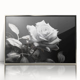 Framed acrylic wall art featuring a detailed botanical rose design in silver tones, perfect for adding elegance to any home decor. Ideal for floral enthusiasts.