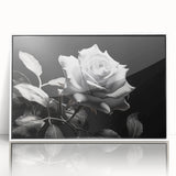 Framed acrylic wall art featuring a detailed botanical rose design in soft pink and green hues, set against a sleek white background, ideal for home decor.