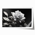 Botanical rose design wall art print featuring delicate pink and cream roses with lush green leaves, rolled for easy shipping and display, ideal for home décor.